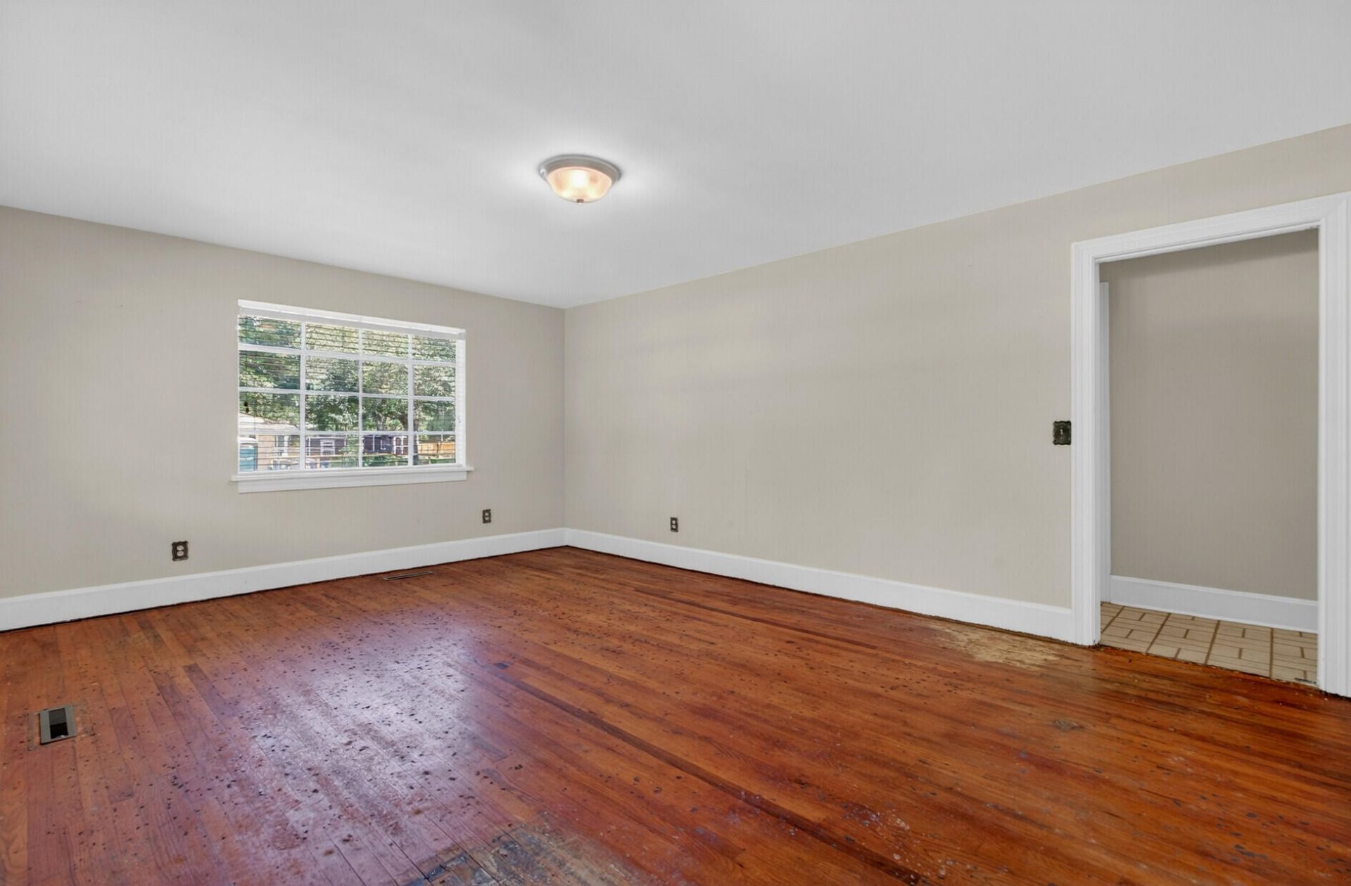 1663 Pinckney Park Drive Photo 9