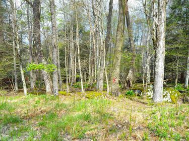 103 - 104 Arbutus Court, Terra Alta, WV 26764