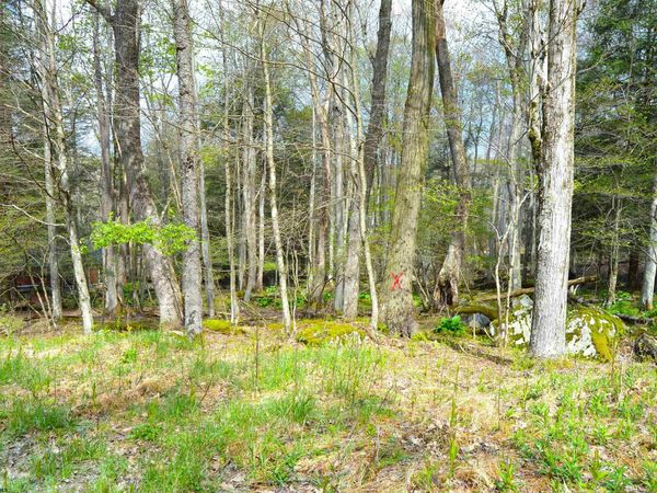 103 - 104 Arbutus Court, Terra Alta, WV 26764