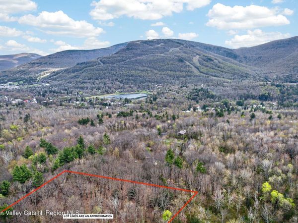 0 Camp Schoharie Road, Hunter, NY 12442