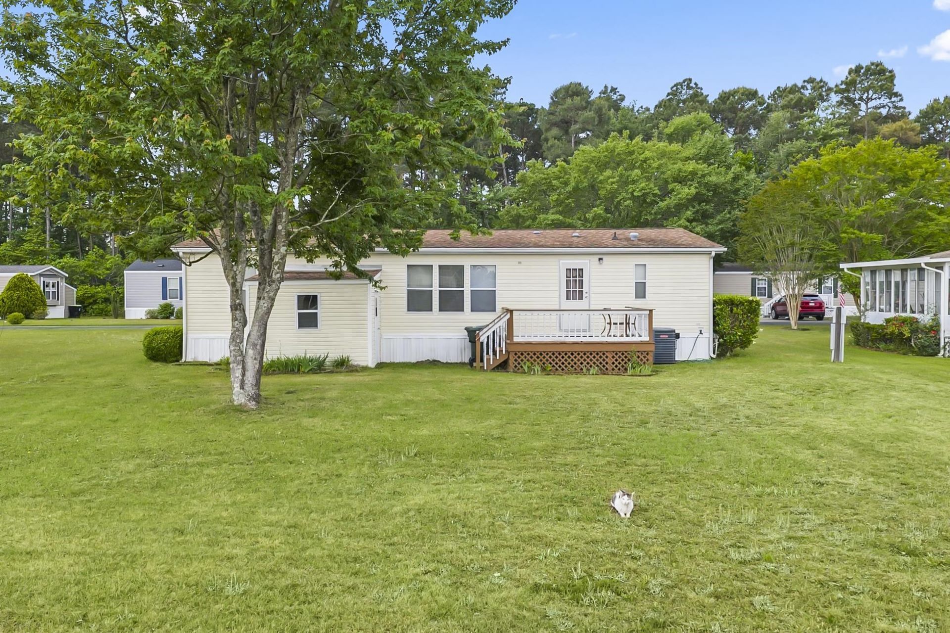 1093 Palm Dr.  Photo 7