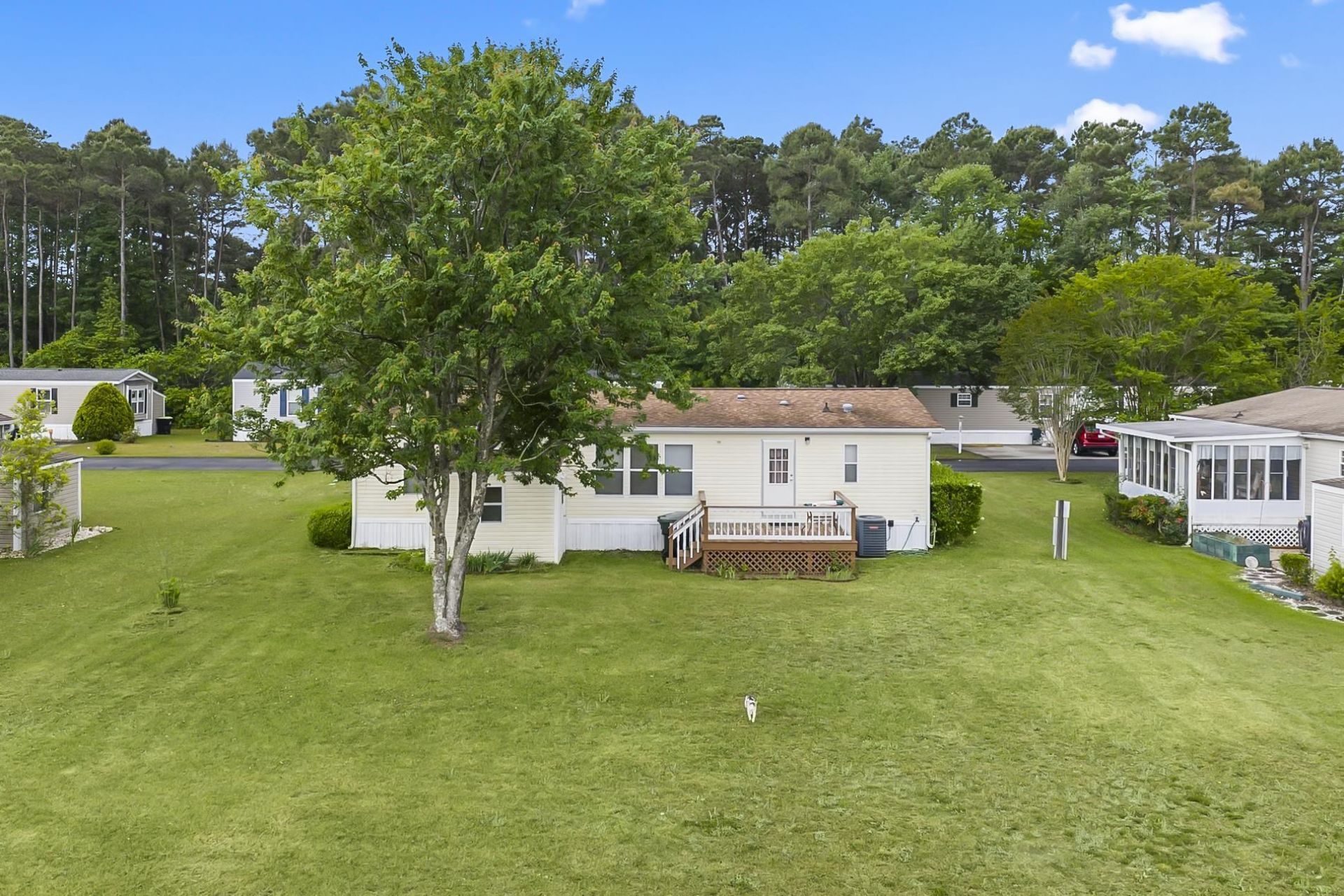 1093 Palm Dr.  Photo 8