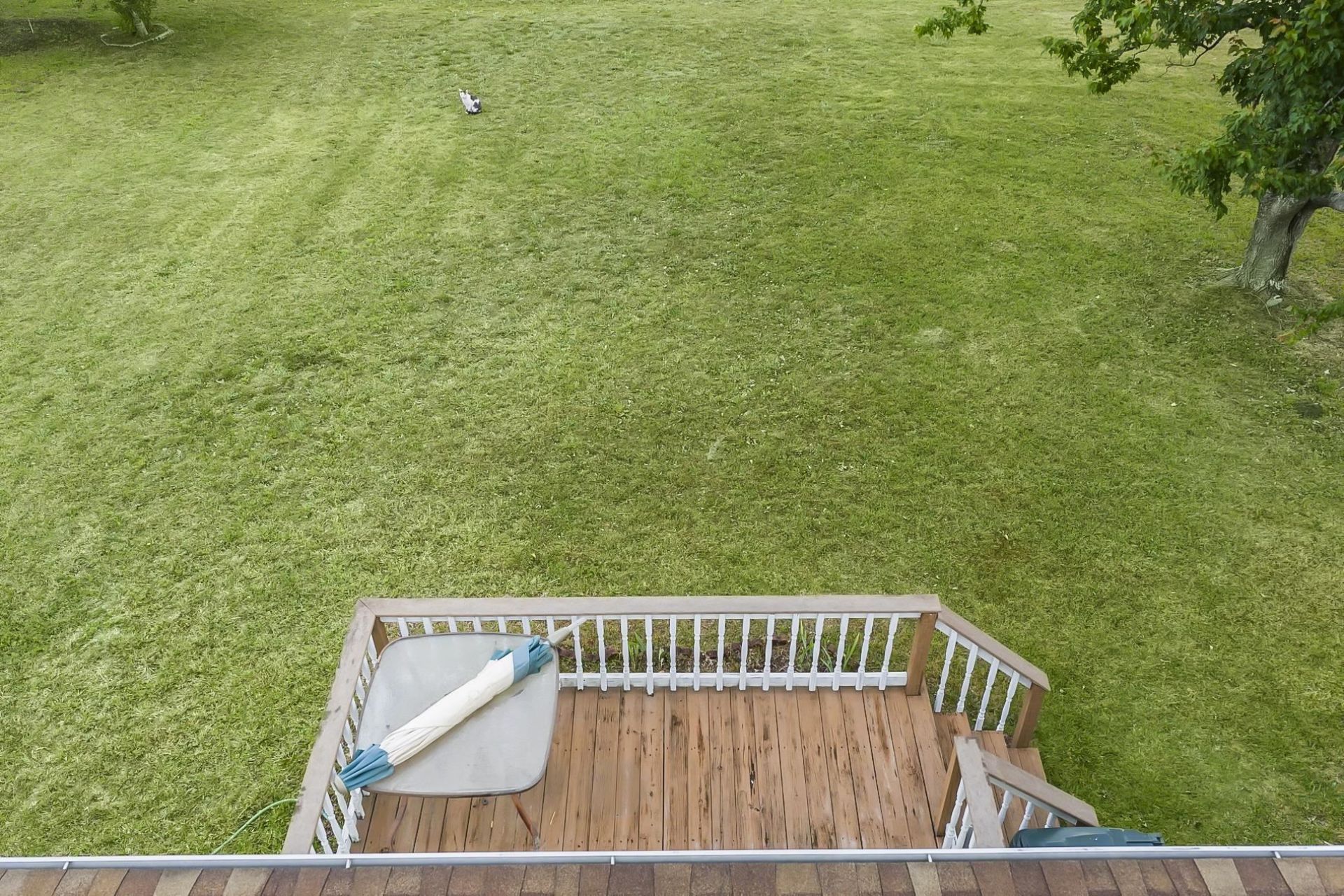 1093 Palm Dr.  Photo 9