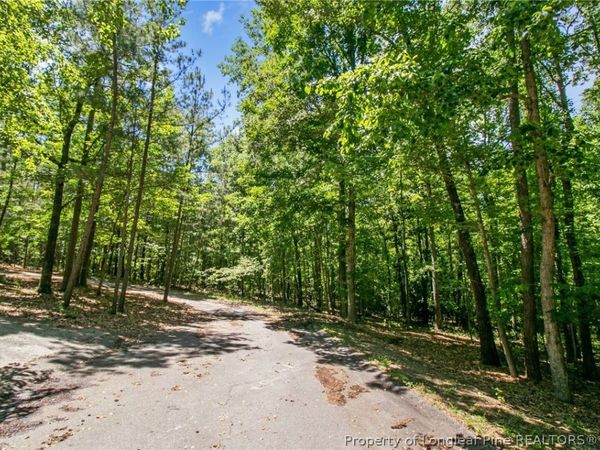 tbd Buggy Drive W, Carthage, NC 28327
