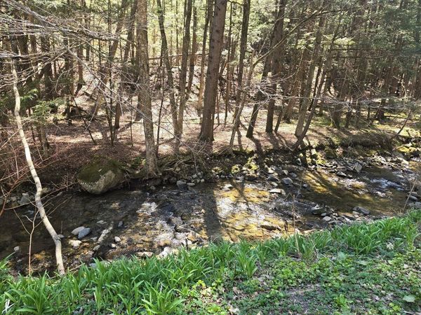 262 Seavers Brook Road, Springfield, VT 05156