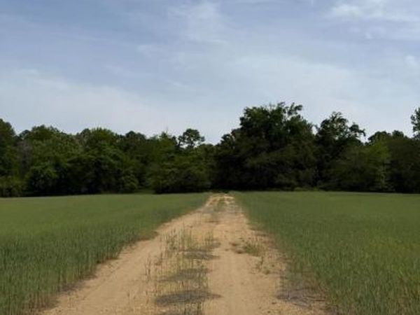 26200 LOCUST GROVE FARM LANE , HOLLYWOOD, MD 20636