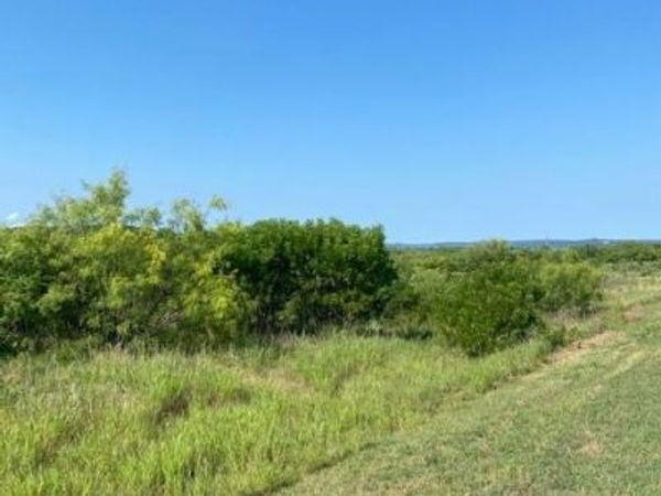Lot 203 Evening Primrose Drive, Possum Kingdom Lake, TX 76449