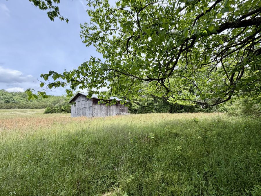 Property Image 36