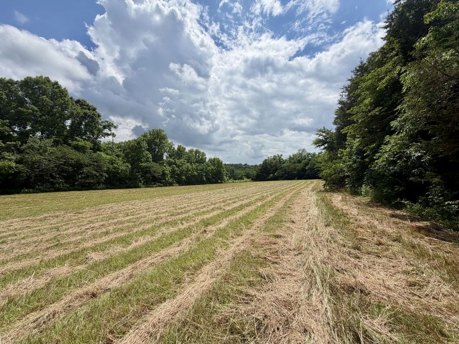 Property Image 60