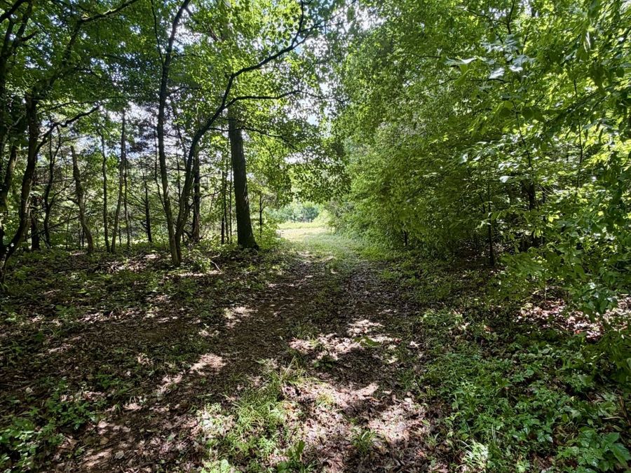 Property Image 63