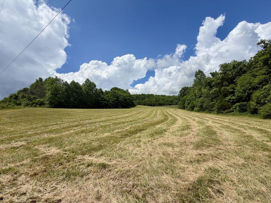 Property Image 64