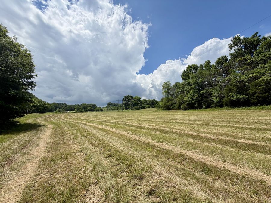 Property Image 65