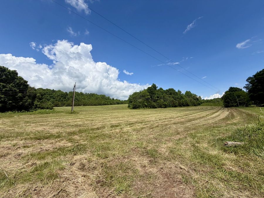 Property Image 66