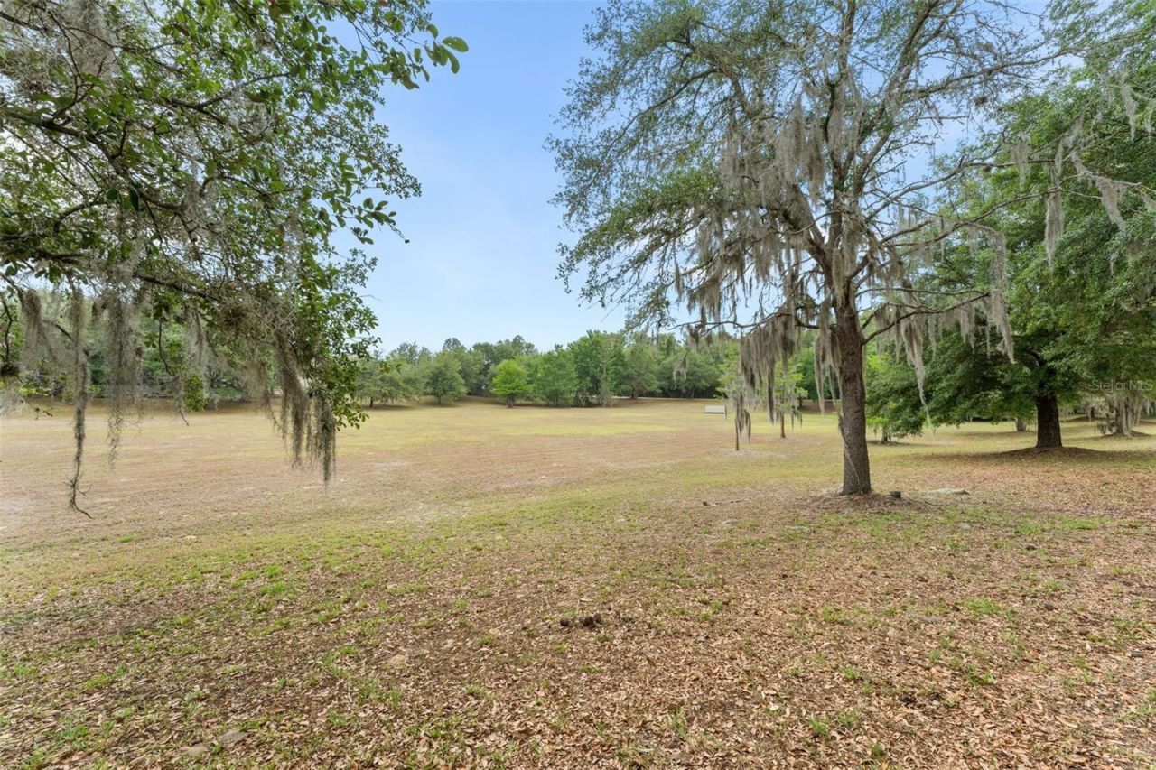 13537 NW 7th Road, Newberry, FL 32669 Photo