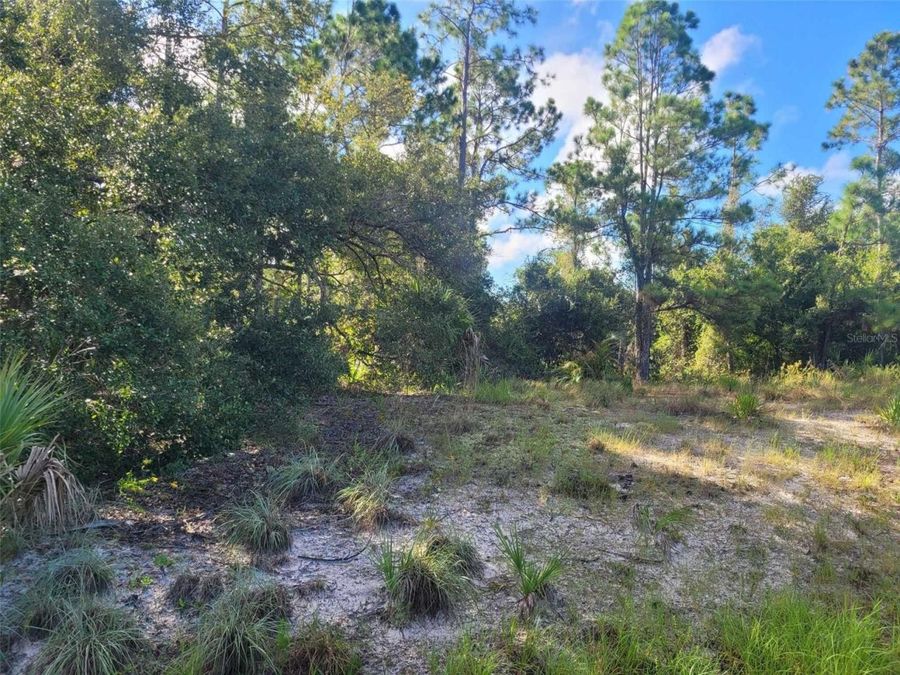 Property Image 5