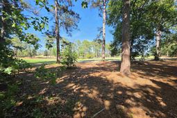 126 Creekside Cottage Court  photo 4