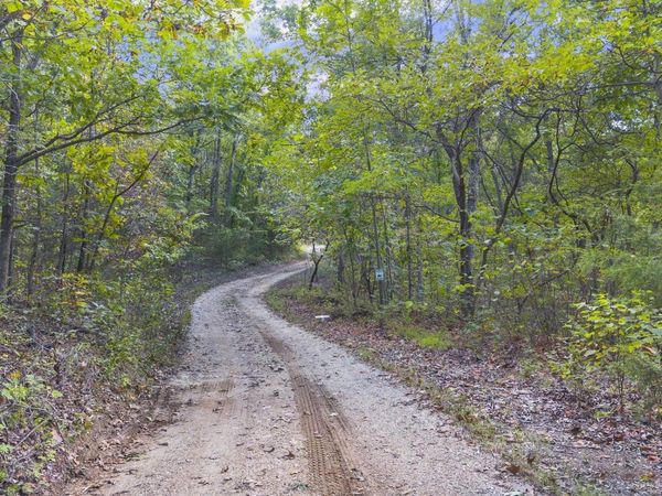 80+/-Acres Proctor Lane , Gravois Mills, MO 65037