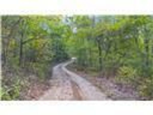 80+/-Acres Proctor Lane , Gravois Mills, MO 65037