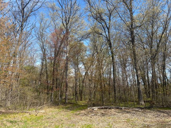 TBD 151st Street NW, Princeton, MN 55371