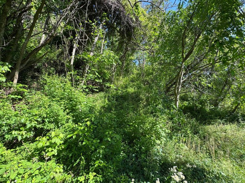 5645 State Route141, Ironton, OH 45638 Photo 12