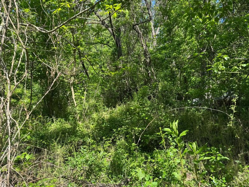 5645 State Route141, Ironton, OH 45638 Photo 7