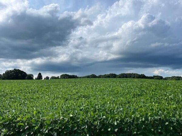00 Gramer Road, Webberville, MI 48892