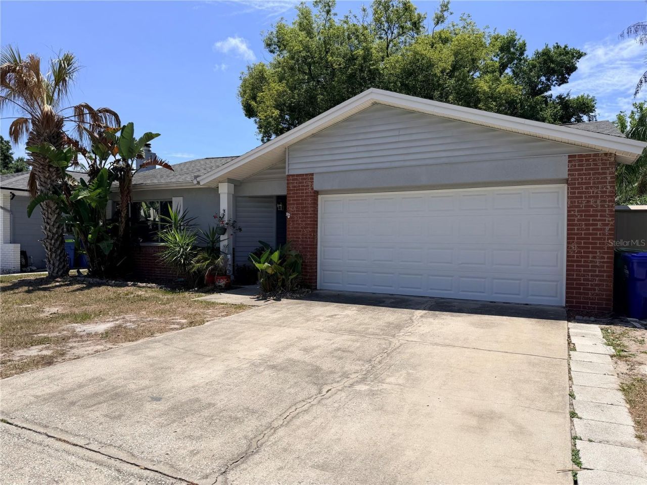 2334 Citrus Hill Rd , Palm Harbor, FL 34683 Photo