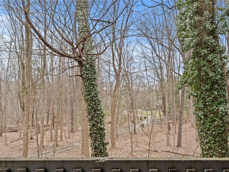 515 Meredith Lane , Unit 2A, Cuyahoga Falls, OH 44223 Photo 18