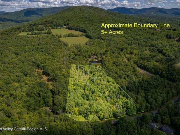 0 Joe Todd Road, Fleischmanns, NY 12430