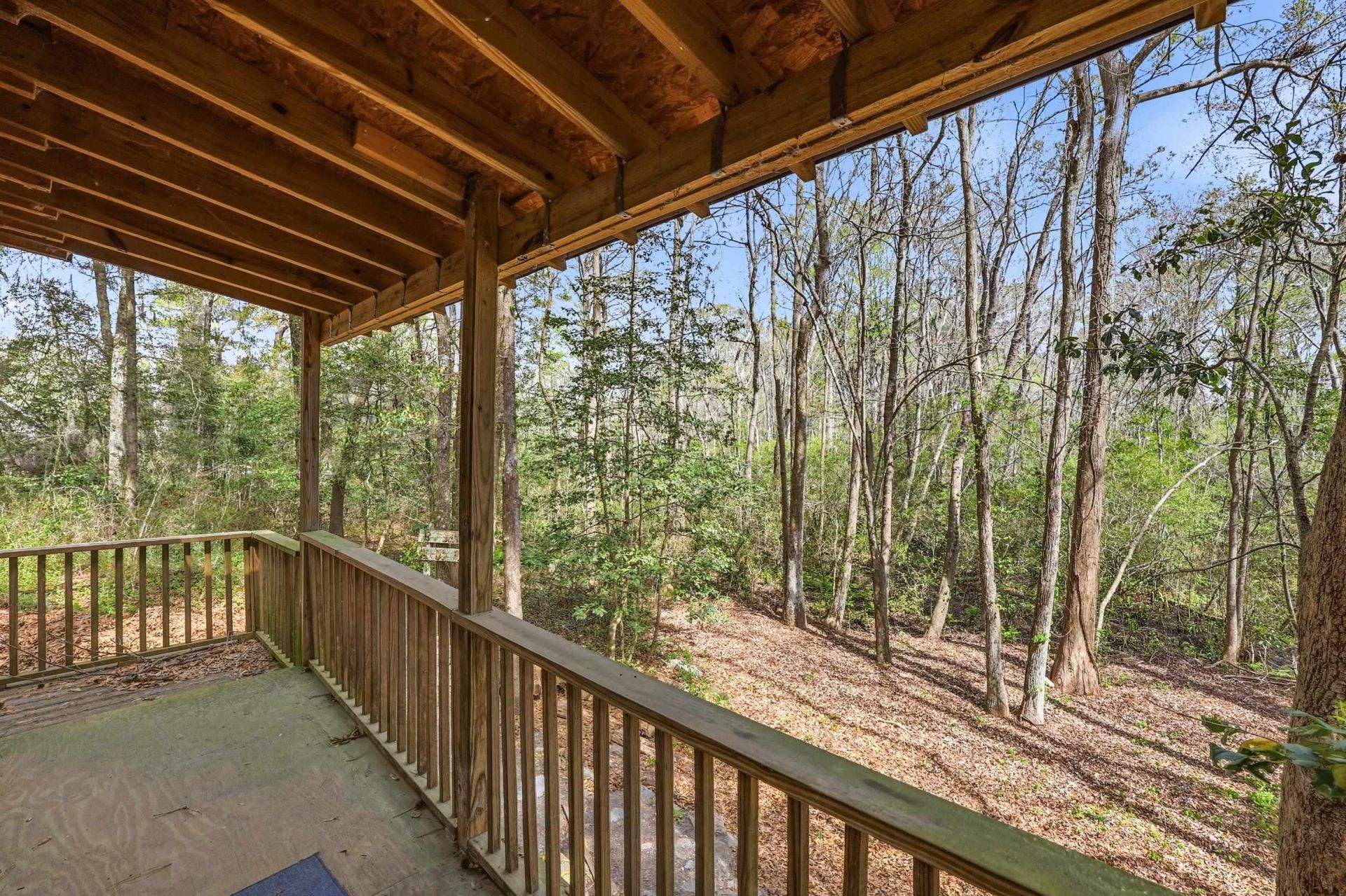 34 Clifton Dr.  Photo 30
