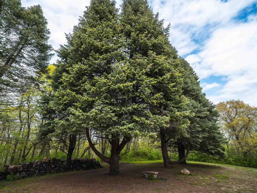 Property Image 86