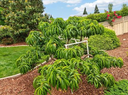 836 Magnolia Ln, Lincoln, CA 95648 Photo