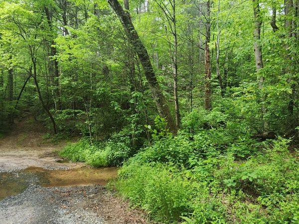 13 AC Goose Island Road, Ellijay, GA 30540