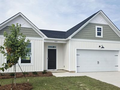 628 Old Charleston Road, Pelion, SC 29123