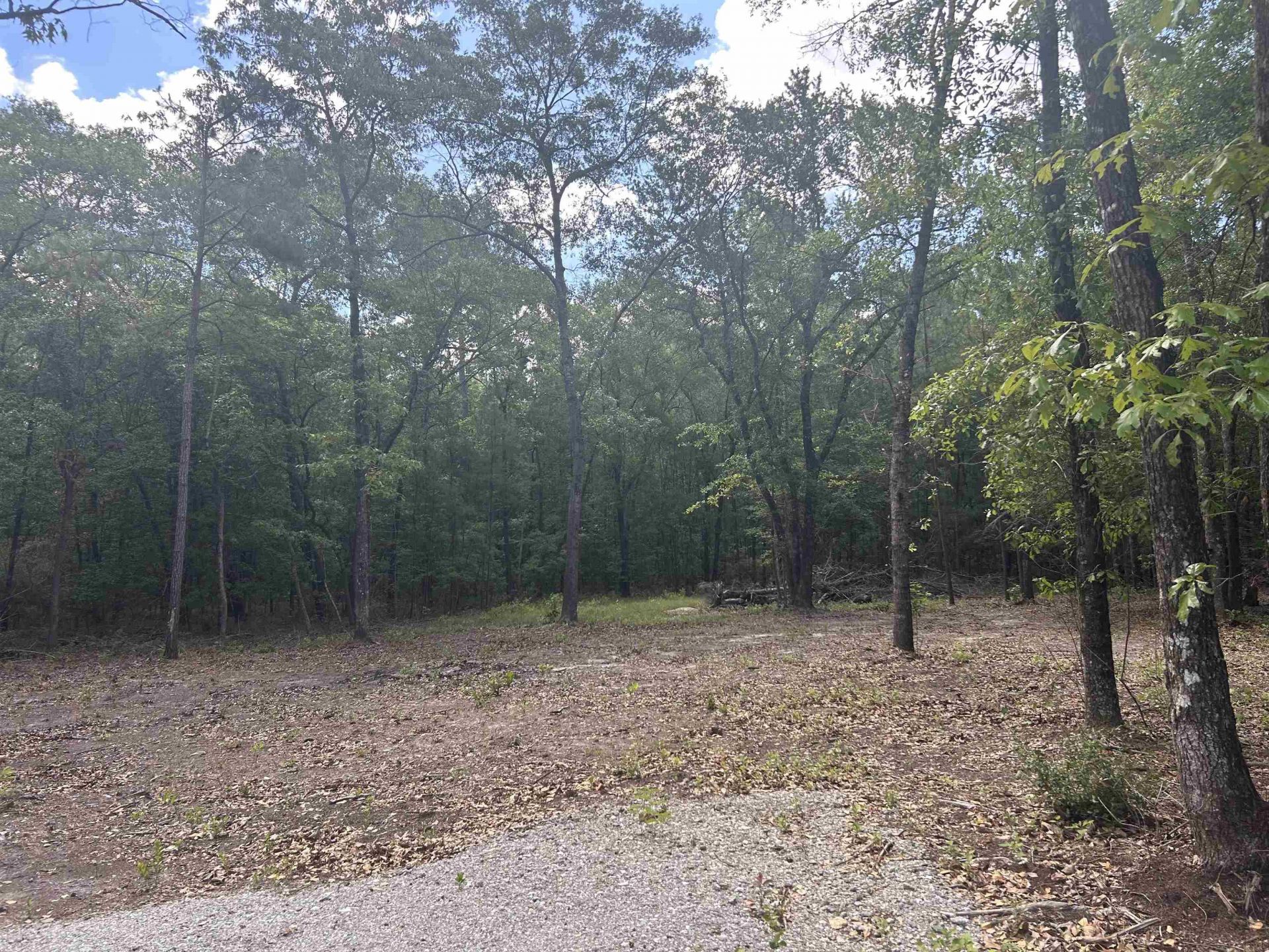 21098 N Fraser St.  Photo 17