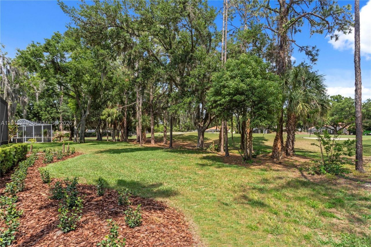 4903 Jenni Lin Ct , , FL 33596 Photo