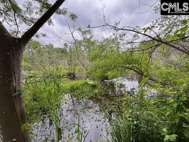 216 Darby Way Photo 29