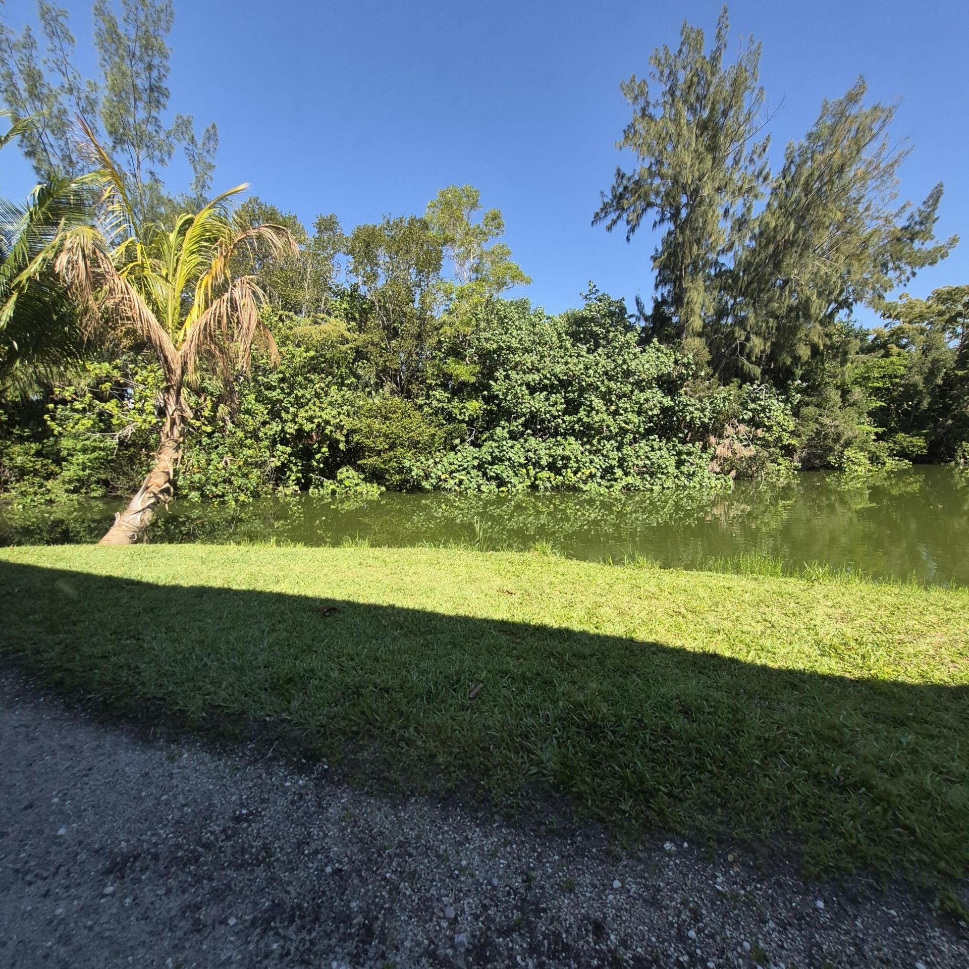 101 Northampton F, West Palm Beach, FL 33417 Photo