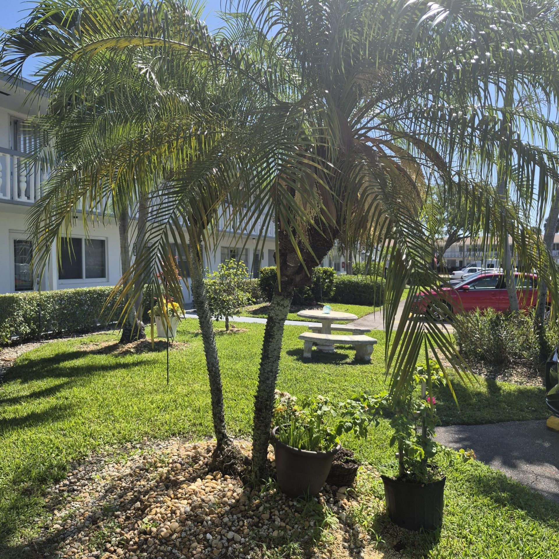 101 Northampton F, West Palm Beach, FL 33417 Photo