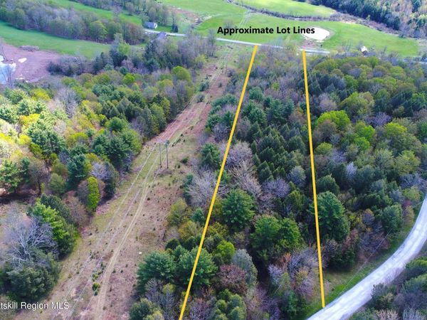 415 Deer Run Road, Ashland, NY 12407