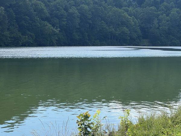 187 Rigsbys Rdg, Lynchburg, TN 37352
