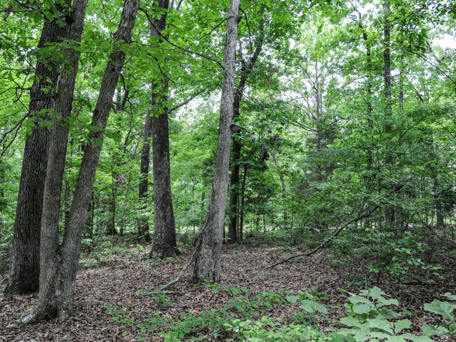 Property Image 60