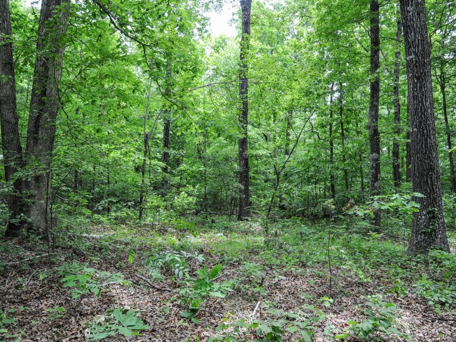 Property Image 61