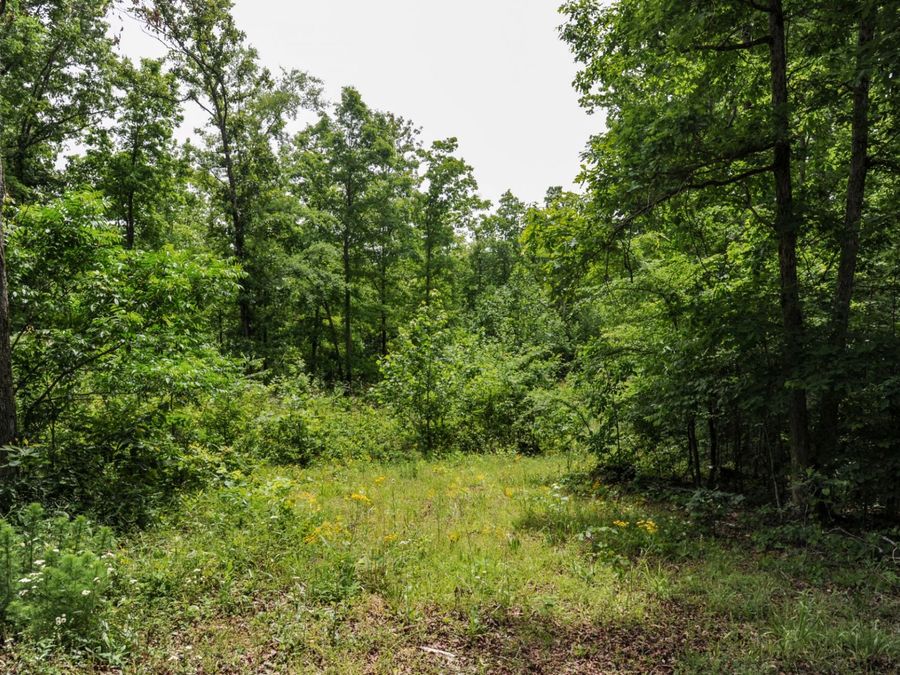 Property Image 81
