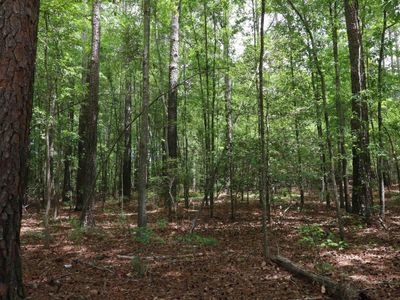 1091 Pine Grove Road , Leesville, SC 29070
