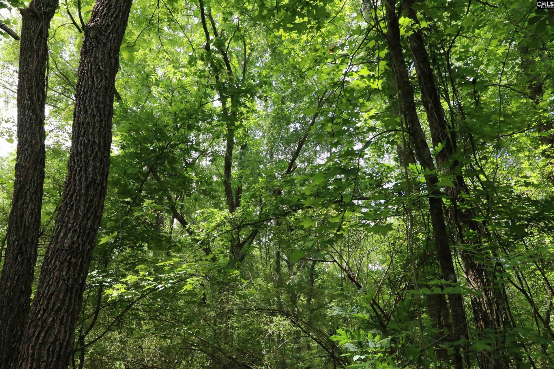 1091 Pine Grove Road  Photo 10