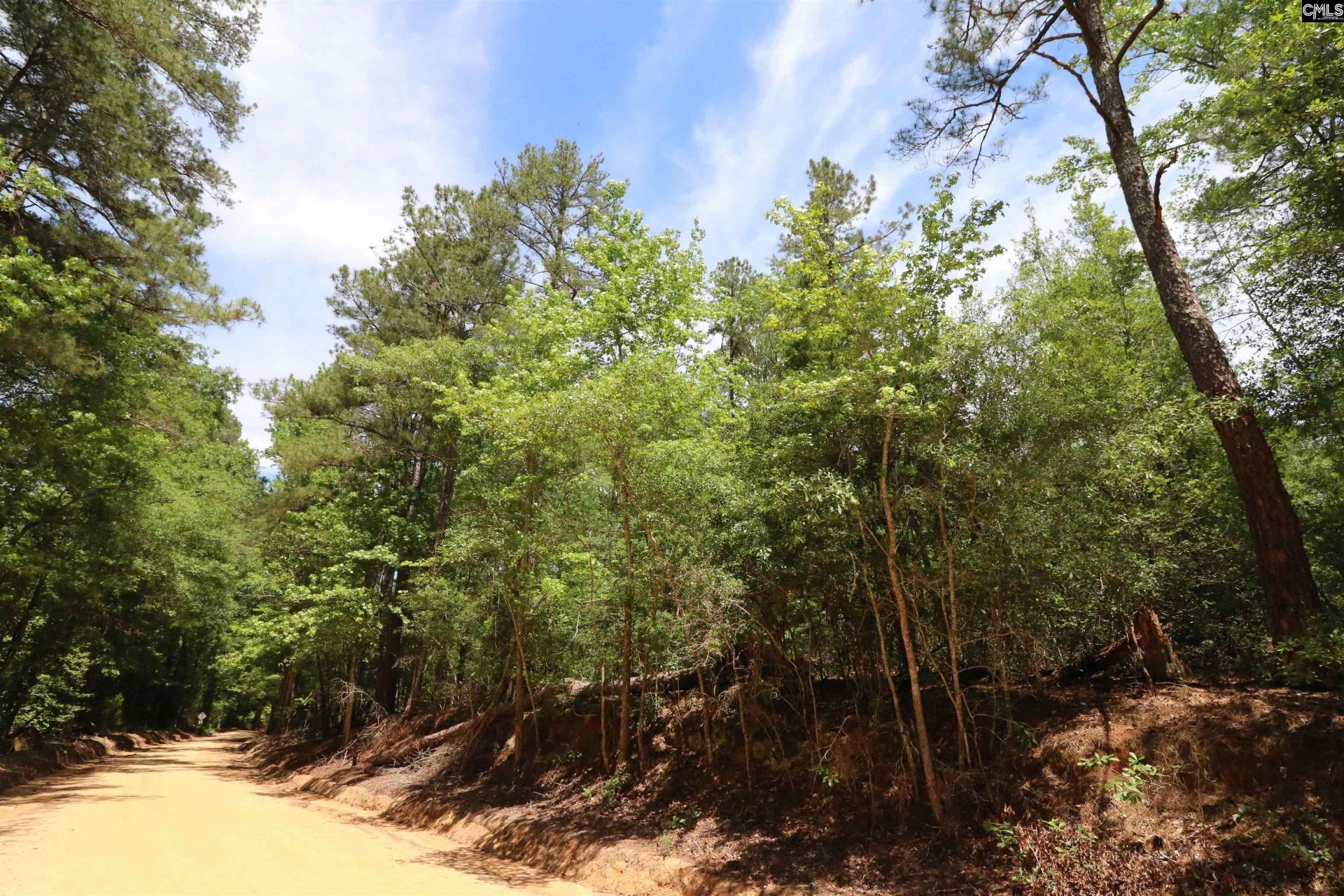 1091 Pine Grove Road  Photo 18