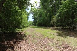 1091 Pine Grove Road  photo 4