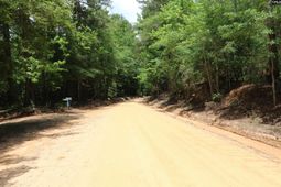 1091 Pine Grove Road  photo 4