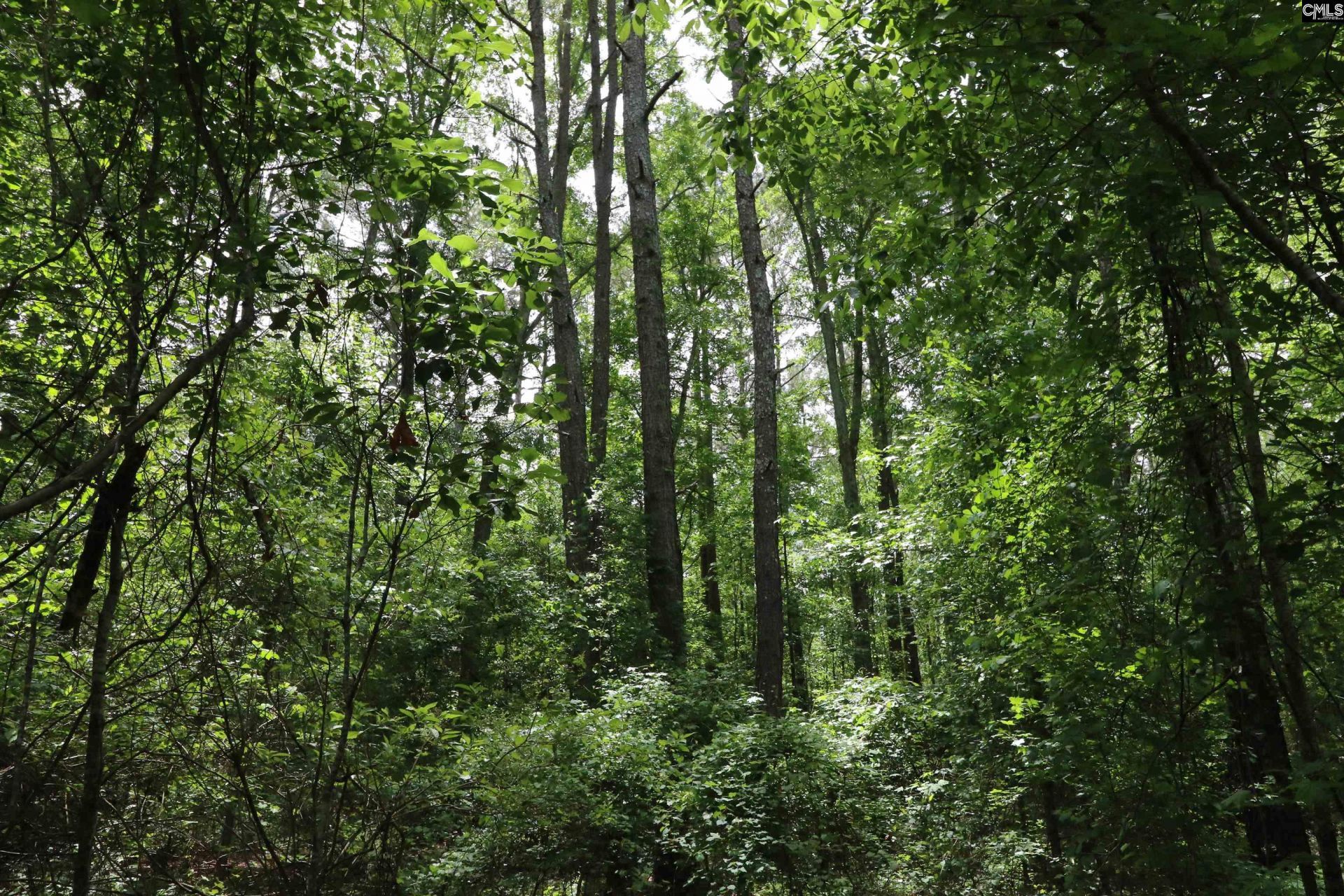 1091 Pine Grove Road  Photo 5